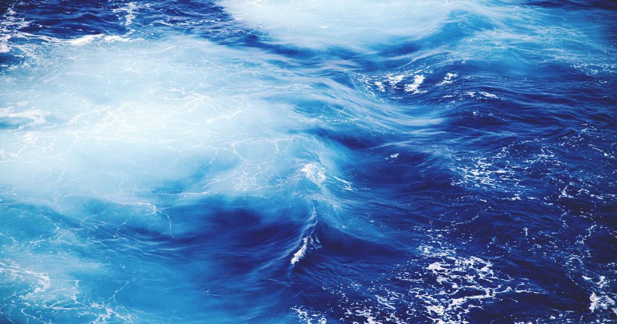 พลิกโฉมธุรกิจของคุณ: ทำไม PHP และ Database จึงเป็นหัวใจของการพัฒนาระบบหลังบ้านที่ปรับแต่งได้ตามใจ